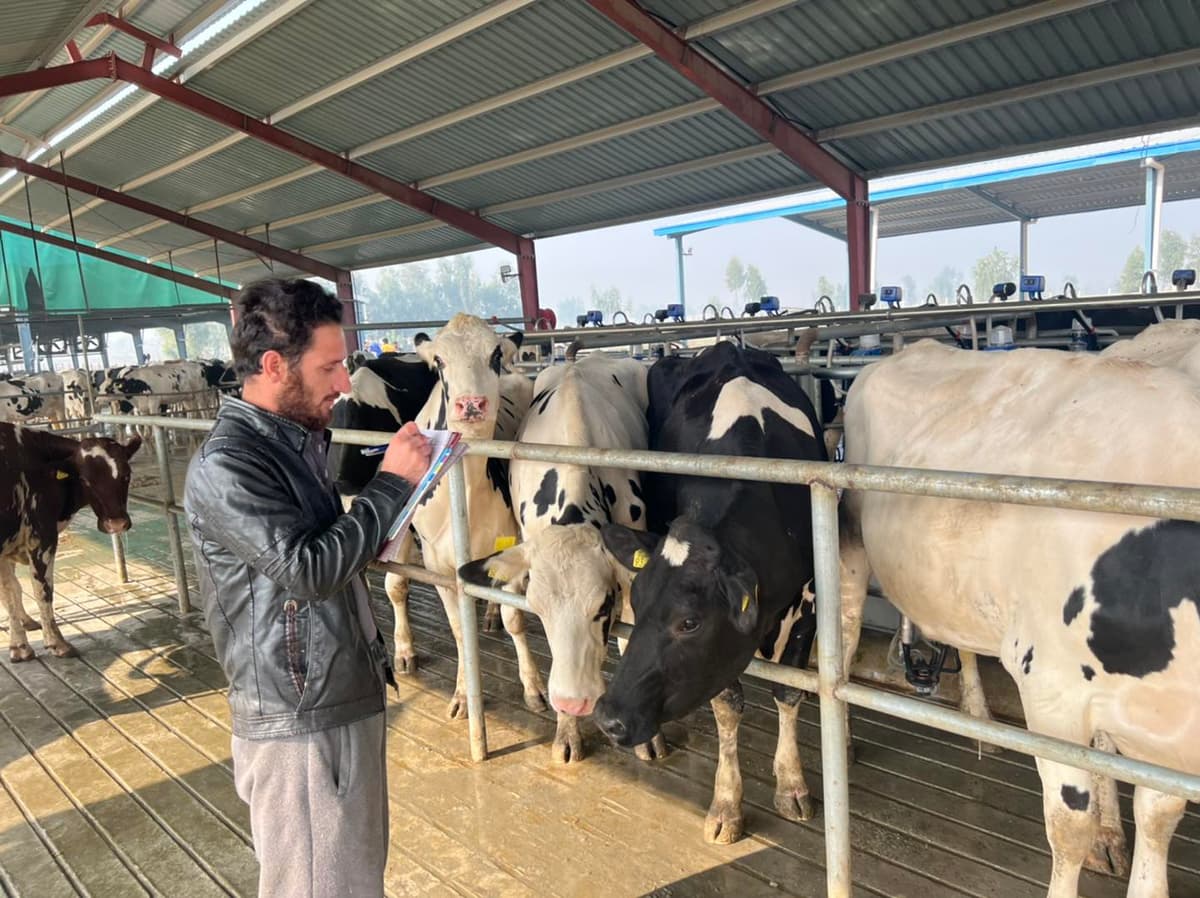AM Dairy Farm